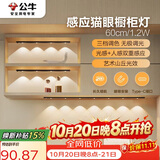公牛（BULL）感应猫眼橱柜灯磁吸充电山丘光效展柜玄关氛围小夜灯 黑60cm三色