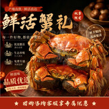 【活蟹】湖中之王鲜活大闸蟹现货 全母蟹3.0-3.3两8只装螃蟹礼盒中秋生鲜礼品源头直发