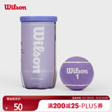 Wilson威尔胜2025全新配色罐装网球2颗装 落日紫色【球上数字随机】