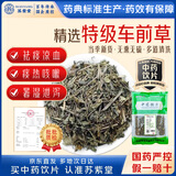 苏紫堂车前草200g/袋 四川宜宾 中药饮片 猪耳朵草车轮草菜牛舌草 中药材原料中草药 可搭土茯苓玉米须泡水喝