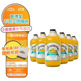 宾得宝（Bundaberg）新品含气不知火柑橘饮料375ml*6玻璃瓶装 澳洲丑橘果汁气泡水