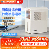 蓝宝（BLAUPUNKT）厨房冰雾扇冷风空调扇制冷小型壁挂电风扇加湿水冷风扇冷风机防油烟节能低噪加湿器 【经典爆款-X5】快速降温/台式免安装