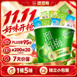 溜溜梅青梅分享桶460g 西梅雪梅脆青梅清梅 送礼家庭分享办公室零食礼包