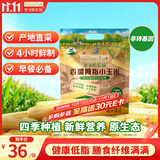 爷爷的农场儿童早餐拇指玉米400g(6-8根) 儿童拇指玉米婴儿杂粮宝宝儿童零食