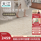 大江进口纯羊毛地毯客厅简约素色轻奢高级感沙发地毯160x240cm