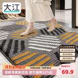 大江入户门地垫定制满铺高端玄关地毯门口脚垫进门入户地垫60x90cm