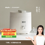 olayks立时电压力锅 双胆高压锅 家用多功能高压电饭锅快煮智能预约压力锅婴儿辅食锅 3升适用1-4人