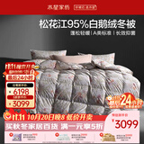 水星家纺羽绒被鹅绒被95%白鹅绒被子冬被冬季加厚被芯双人220×240约5.5斤
