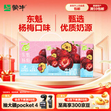 蒙牛真果粒牛奶饮品东魁杨梅味含乳饮料250g×12盒 卡皮巴拉礼盒