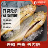 1号会员店（One's Member）冷冻宁德三去黄花鱼 大黄鱼700g/2条装 生鲜水产鱼类 双十一
