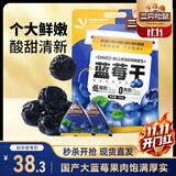 三只松鼠每日蓝莓干500g 蜜饯果干酸甜休闲零食下午茶孕妇儿童健康零食