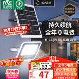 雷士（NVC）太阳能户外照明灯室外庭院灯路灯投光灯光控遥控402lm+约25m²