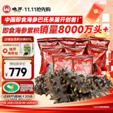 晓芹大连冷冻即食海参500g 7-9只*2袋 辽刺参 海鲜水产