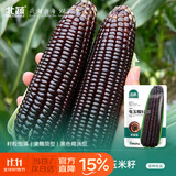 北蔬 香糯黑玉米种子苗四季早熟抗旱抗倒菜籽 屯玉糯9103玉米种子80g