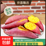 现挖沙地蜜薯红薯新鲜农家糖心番薯烤地瓜软糯批发黄心包邮 正宗天目山小香薯5斤 单果50g+