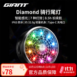 捷安特Diamond骑行尾灯 夜骑高亮警示自行车尾灯防水山地公路车安全灯