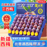 京地达西梅新疆法兰西西梅李子大果重3斤单果20g+水果礼盒源头直发包邮