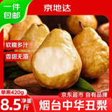 京地达山东烟台丑梨净重8.5斤单果420g+中华啤梨冰淇淋梨子京东自营水果