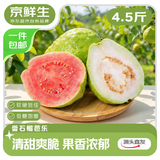 京鲜生 广西红白芭乐双拼 净重4.5斤 单果130g起番石榴水果源头直发包邮