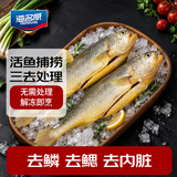 海名威 冷冻宁德三去黄花鱼600g/2条 大黄鱼 生鲜鱼类 海鲜水产 深海鱼