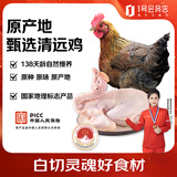温润食品 原种138天清远鸡1.2kg 国家地理标志产品慢养麻鸡纯种土鸡走地鸡