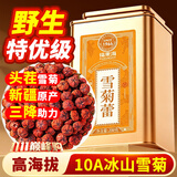 福东海10A野生昆仑雪菊胎菊200克 正宗【特优级新疆】天山雪菊花茶