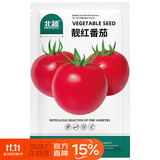 北蔬 西红柿种子苗老品种大红果番茄盆栽优质品种 靓红番茄种子100粒