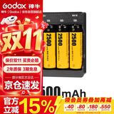 神牛（Godox）TT520II/TT560II通用型机顶灯热靴灯单反相机外置热靴闪光灯4节2500mAh可充电电池+充电器套装