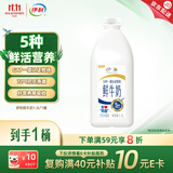 伊利高品质全脂鲜牛奶1.5L桶装鲜活营养早餐巴氏杀菌低温牛乳