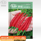 寿禾朝天椒种子种苗单生大果蔬菜种籽 潍丰赤焰单生朝天椒种子60粒