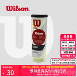 威尔胜（Wilson）美网专业比赛赛事用球上海大师赛全场地练习训练有压网球罐装球 【全场地训练用球】WRT1021 有压球
