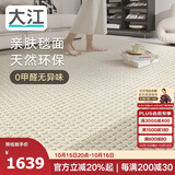 大江进口羊毛地毯客厅现代简约素色轻奢高级感沙发地毯200x300cm