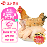 温氏供港三黄鸡1.6斤 冷冻 90天农家土鸡慢养走地鸡 红烧白切煲汤食材