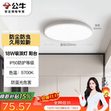公牛（BULL）吸顶灯IP50防尘防虫卧室阳台过道灯MX-A018C-AS全白18W 