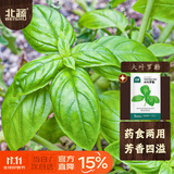 北蔬 罗勒种子苗大圆叶食用香料植物盆栽香草种籽 大叶罗勒种子600粒