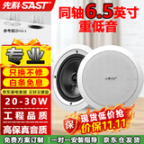 先科（SAST）YS4-5同轴定压吸顶喇叭20W音响背景音乐公共广播音箱家庭影院高保真天花家用门店商场吊顶6.5英寸