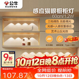 公牛（BULL）感应猫眼橱柜灯磁吸充电山丘光效展柜玄关氛围小夜灯 银60cm三色