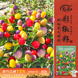 寿禾五彩椒种子苗观赏椒七彩辣椒盆栽蔬菜种籽 五彩观赏椒种子约50粒