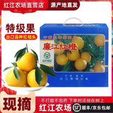 【产地直发】广东特产正宗廉江红橙红江农场红橙礼盒孕妇新鲜薄皮 精挑单果60-80mm S级果【10斤】