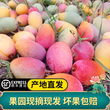 正鲜森顺丰云南元江小金凤凰芒果  小贵妃芒 又香又甜大金凤凰 大贵妃芒 精选小果8斤礼盒【60-120g】
