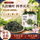 千愈汉方特级蒲公英散结茶节消结节野生蒲公英中药材泡水70g 