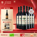 威龙官方店 沙谷阳光14度干红葡萄酒优选酒田赤霞珠红酒婚宴商务送礼 沙谷阳光750ml*6整箱