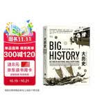 大学堂丛书063:大历史：虚无与万物之间 比尔盖茨斥资千万大型网络课程内容全收录，世界史巨擘威廉·麦克尼尔、杰里·本特利鼎力支持