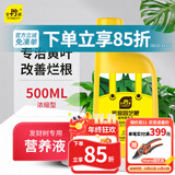 史丹利发财树营养液500ml 肥料专用肥防治黄叶枯叶烂根室内盆栽植物通用