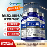 朴诺刺蒺藜胶囊100粒 雄性睾酮 补肾强身 促进睾酮素分泌 增肌促睾 【店长推荐 3瓶周期】