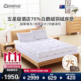 Downia床褥 五星级酒店同款75%白鹅绒羽绒床褥垫子 厚榻榻米垫子1.5米床