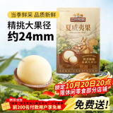 三只松鼠量贩装夏威夷果250g/袋 儿童每日坚果炒货休闲零食团购送礼