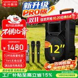 松川国际 SS1 户外移动大功率演出活动K歌唱歌拉杆广场舞音响无线蓝牙便携式会议培训拓展演讲露营音箱 12吋远程重低音（U段调频充电话筒 ）+TWS无线串联