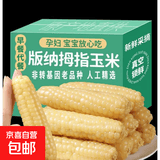 云南拇指小玉米 西双版纳香糯玉米宝宝玉米儿童早餐嫩玉米 拇指玉米1斤（约8-12根）