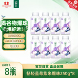 伊利畅轻低温酸奶 蓝莓紫米爆珠250g*8瓶酸牛奶 源头直发包邮